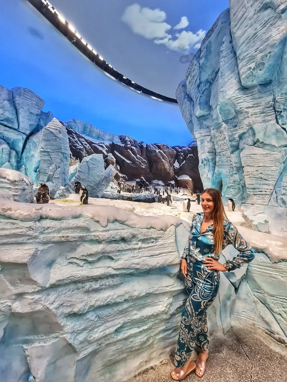 SeaWorld 2 Abu Dhabi Wander with Maya