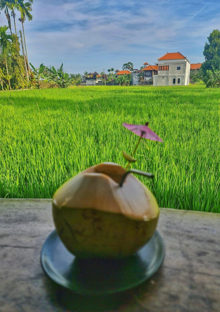 Scenic restaurant view of lush green rice fields under open sky