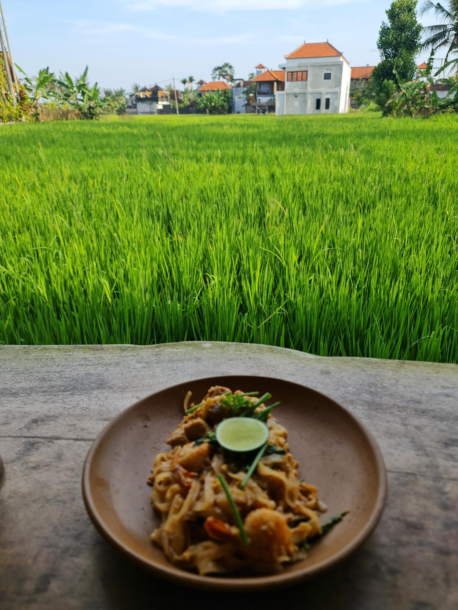 Beautiful rice field landscape with layered terraces and vibrant greenery.