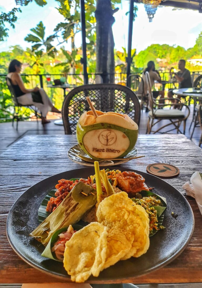Vegan healthy food and coconut water with nice view