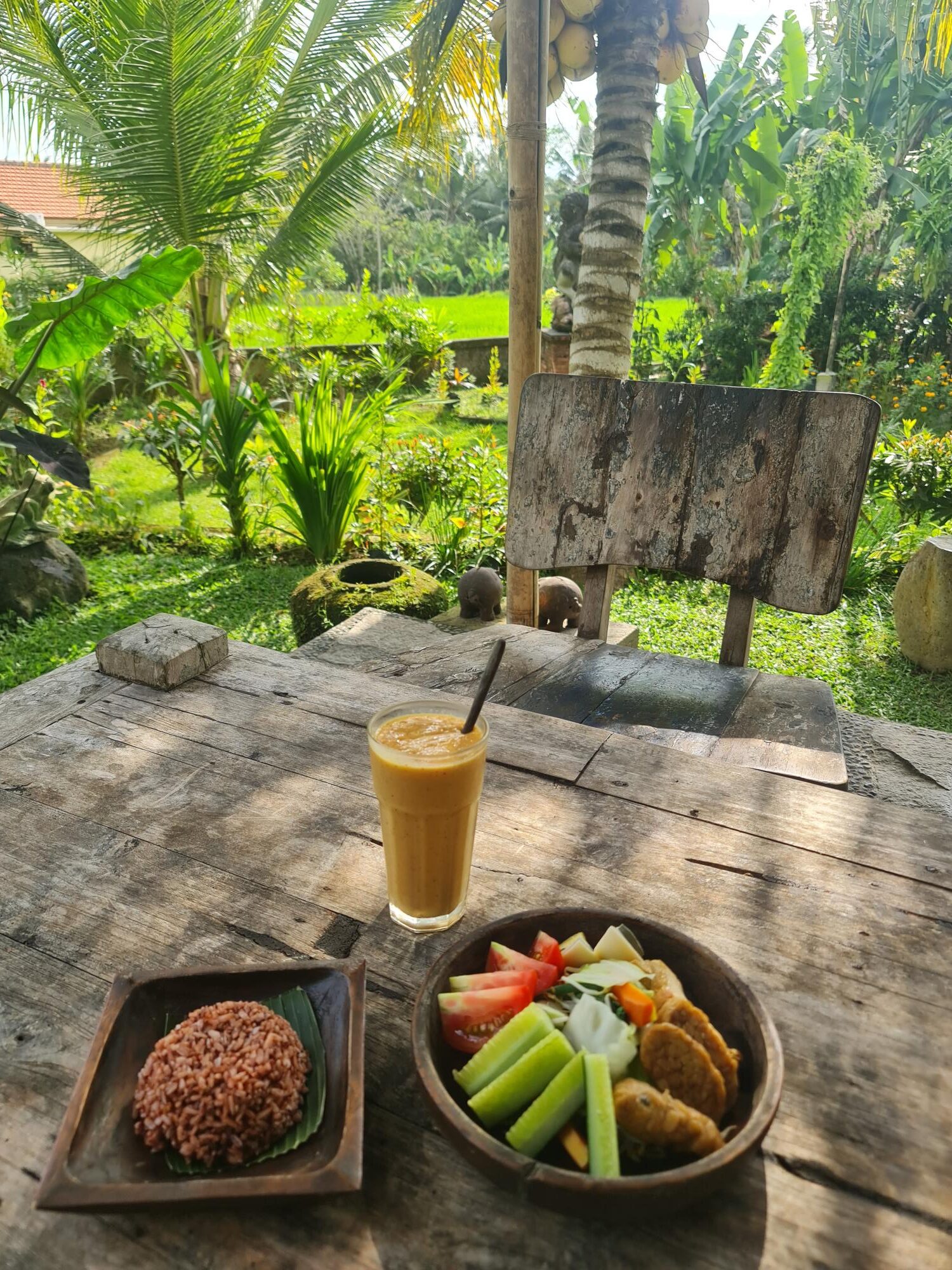 Scenic rice fields surrounded by tropical greenery in Ubud.