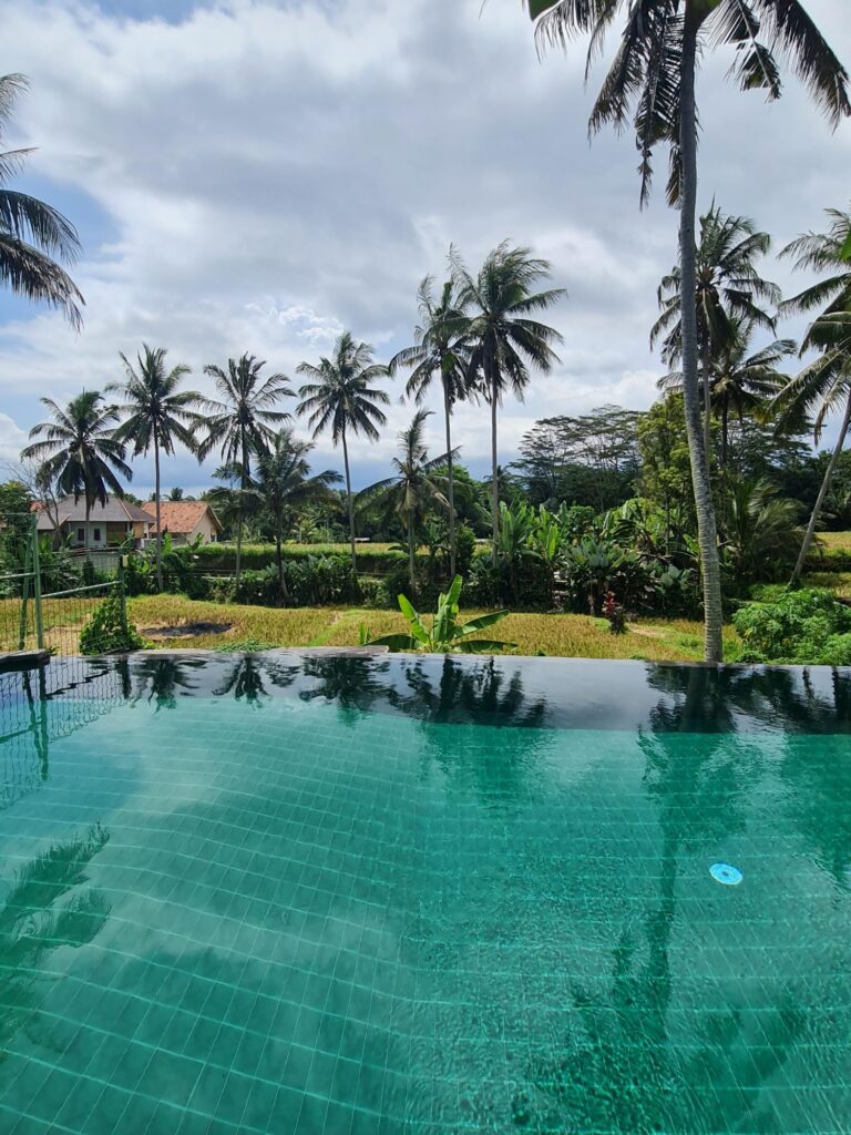 Elegant hotel room in Bali with a canopy bed and mosquito net in a tropical style