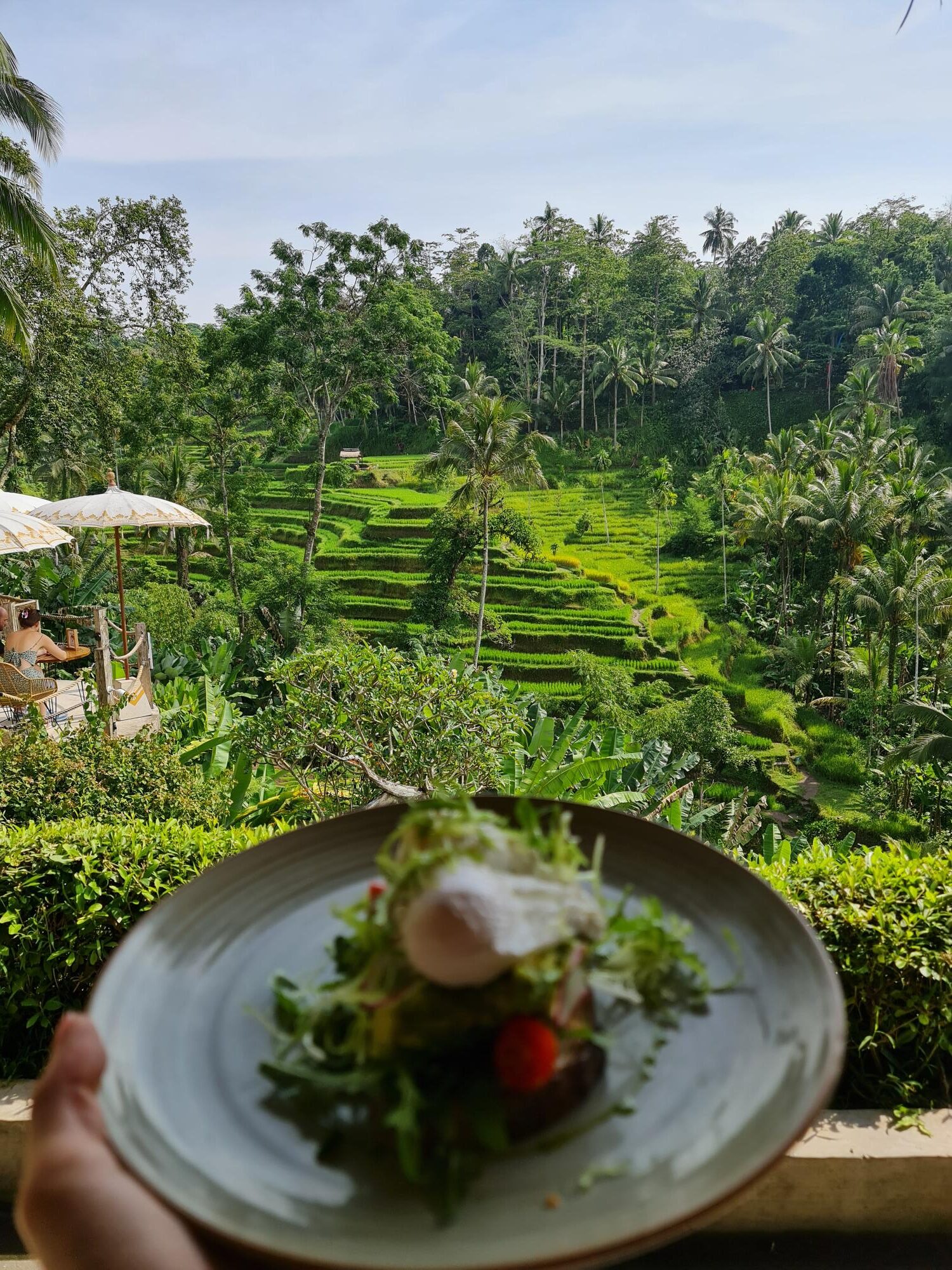 Tis Café - Wander with Maya