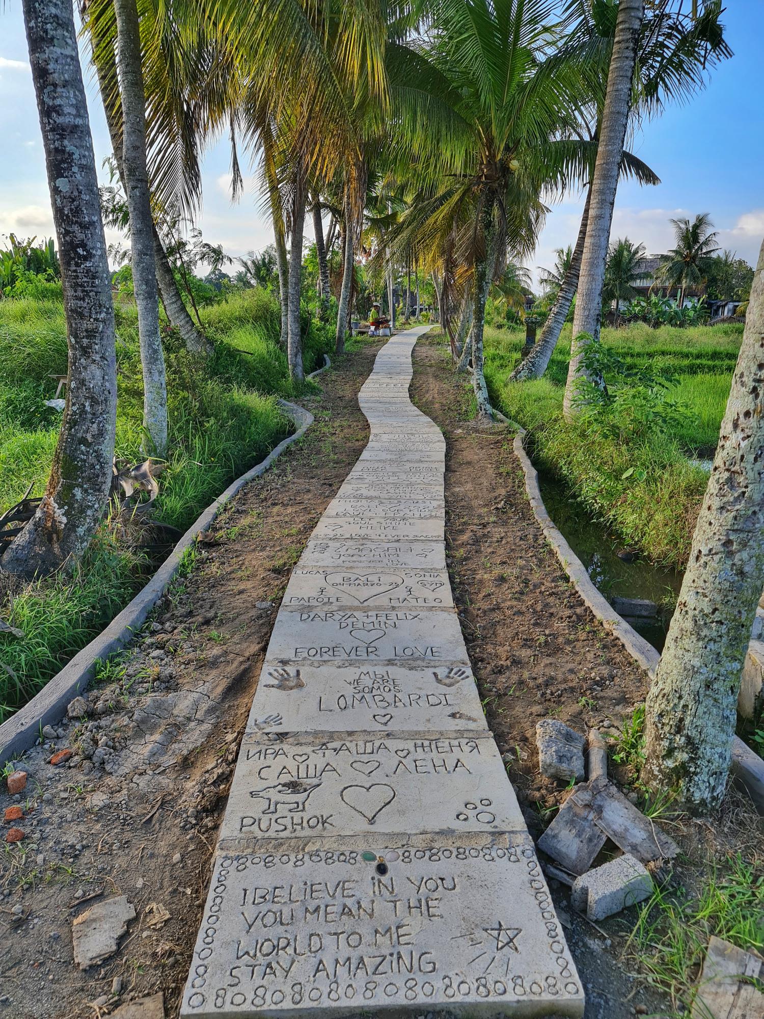 Sweet Orange Walk Trail surrounded by rice fields and tropical greenery