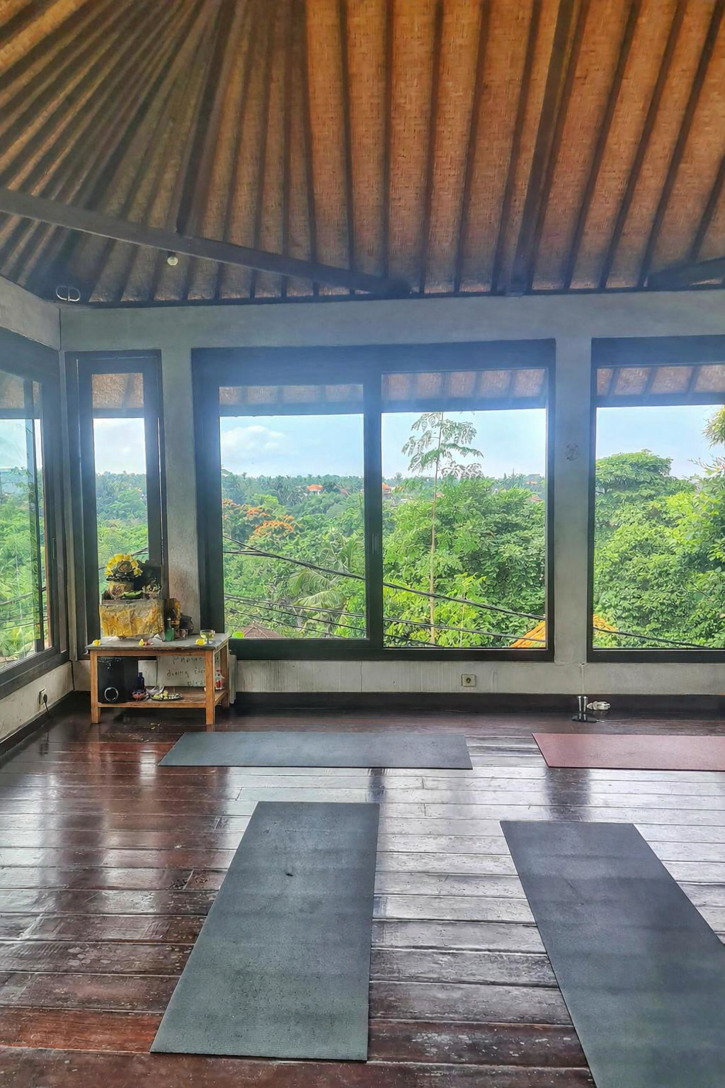 Relaxing yoga session at Intuitive Flow Yoga Studio with views over lush greenery