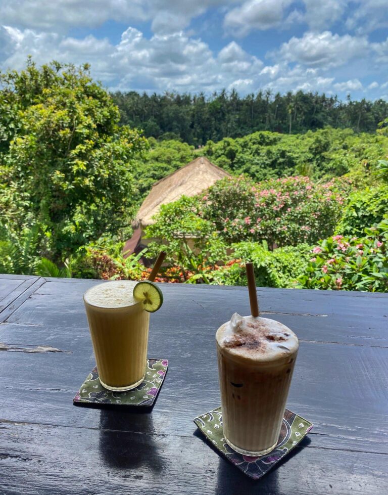 Elephant Restaurant - Wander with Maya