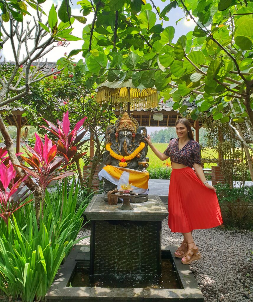 Lumbung Sari coffee plantation with beautiful views