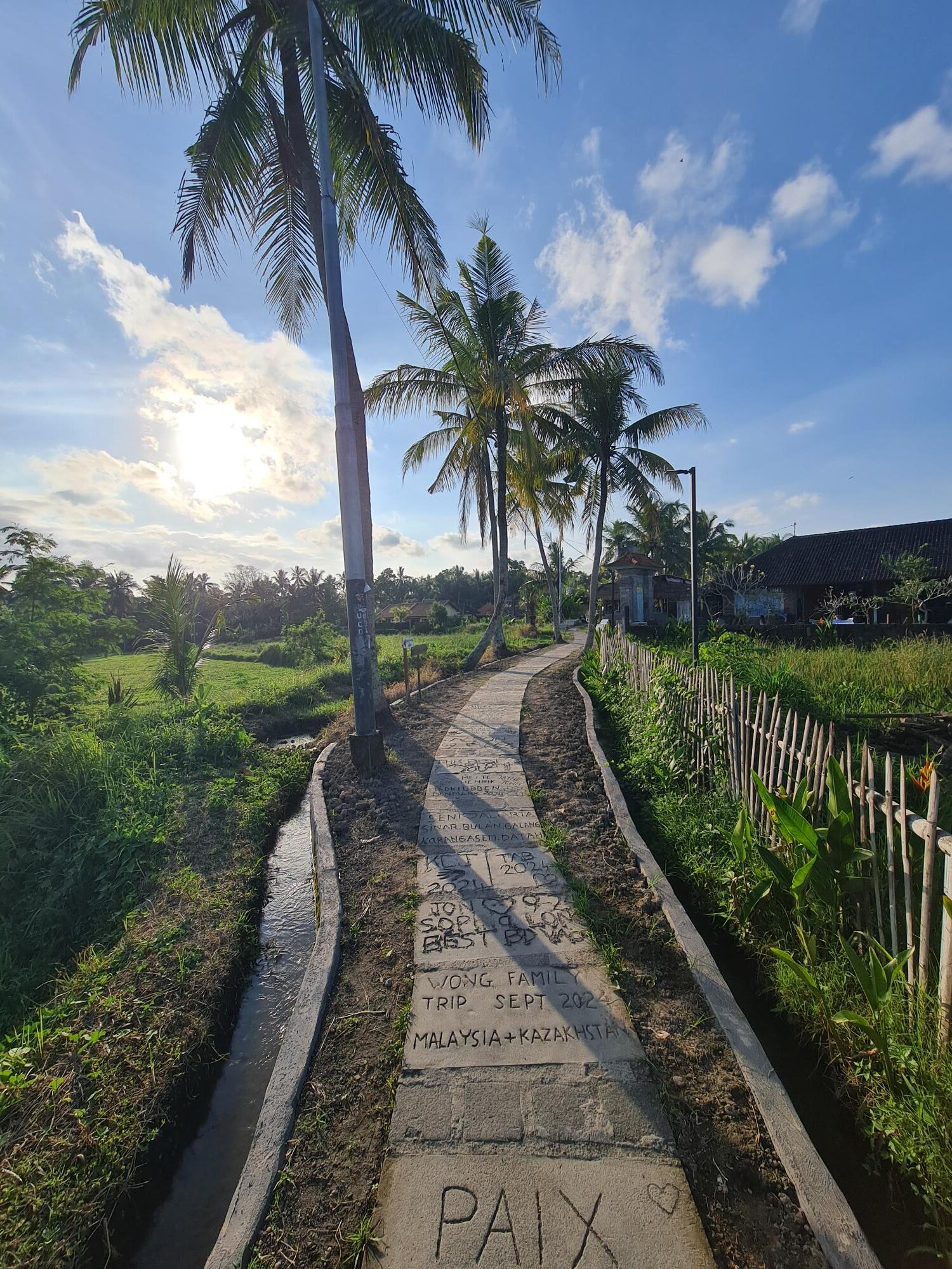 Walking trail surrounded by green rice terraces and tropical landscape in Ubud