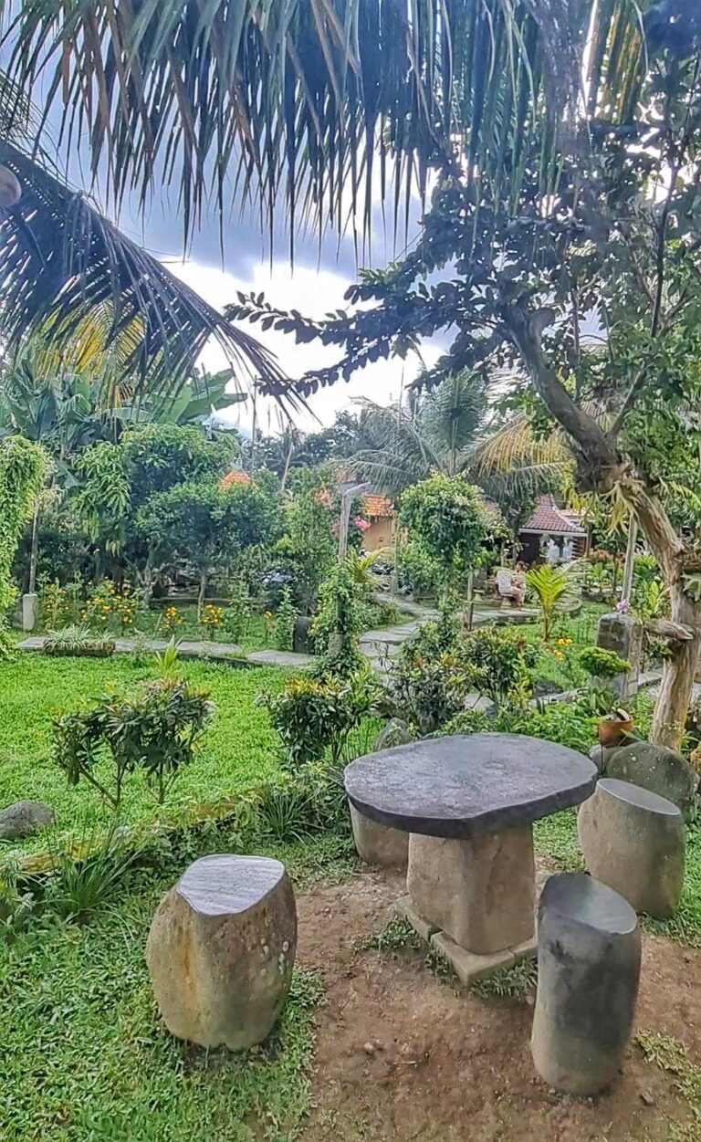 View of lush green rice fields in Ubud, Bali