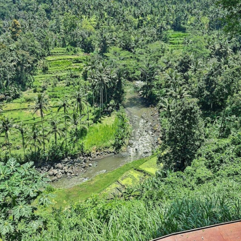 Sayan Point with breathtaking jungle views and lush green valley scenery