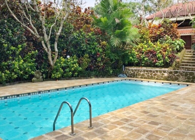 Modest hotel pool in Bali surrounded by tropical greenery
