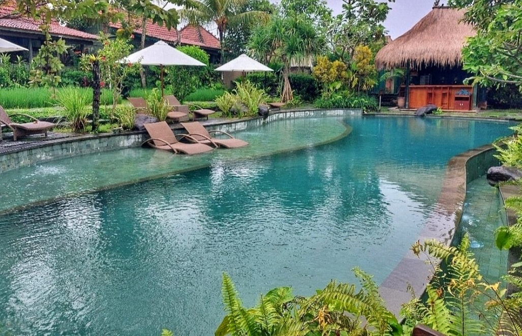 Resort pool in Bali with lounge chairs, umbrellas, and villas in the background