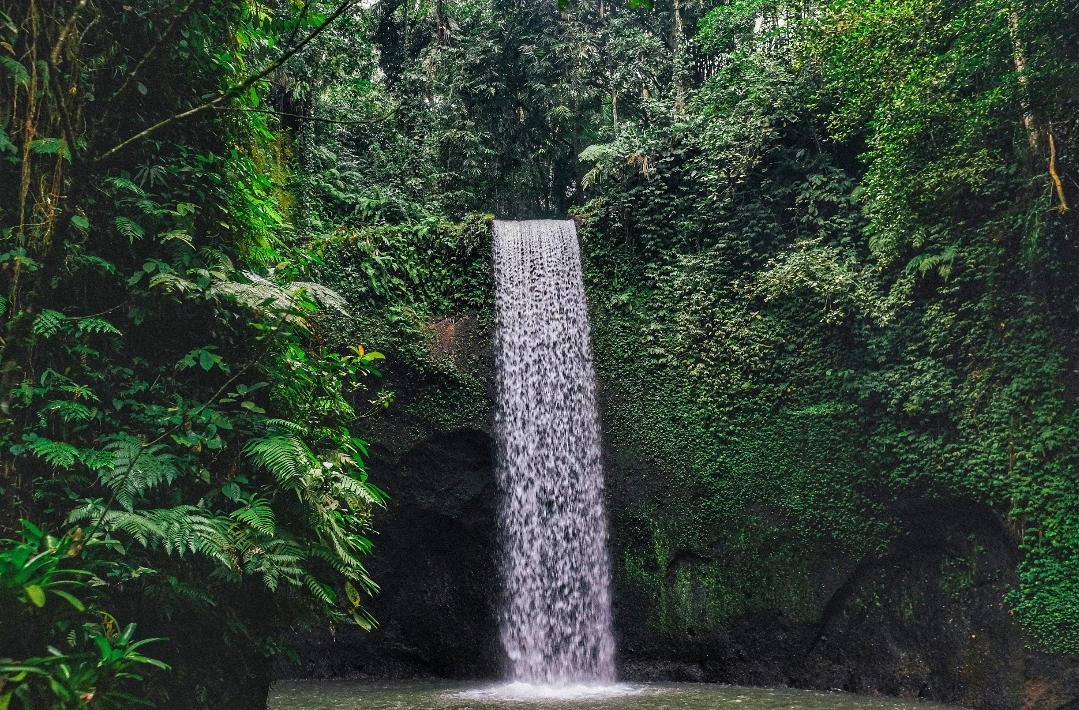 Peaceful jungle setting at Tibumana Waterfall with waterfall and tropical surroundings