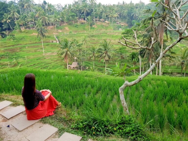 Scenic rice terraces in Bali surrounded by tropical jungle and pathways