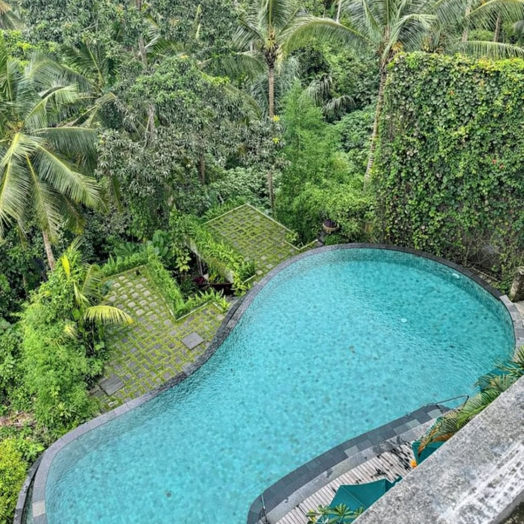 Infinity pool view from a balcony surrounded by dense tropical greenery in Bali