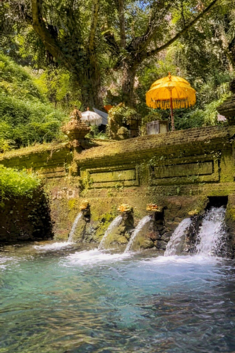 Sacred spring in Ubud Bali used for traditional purification rituals amid tropical setting