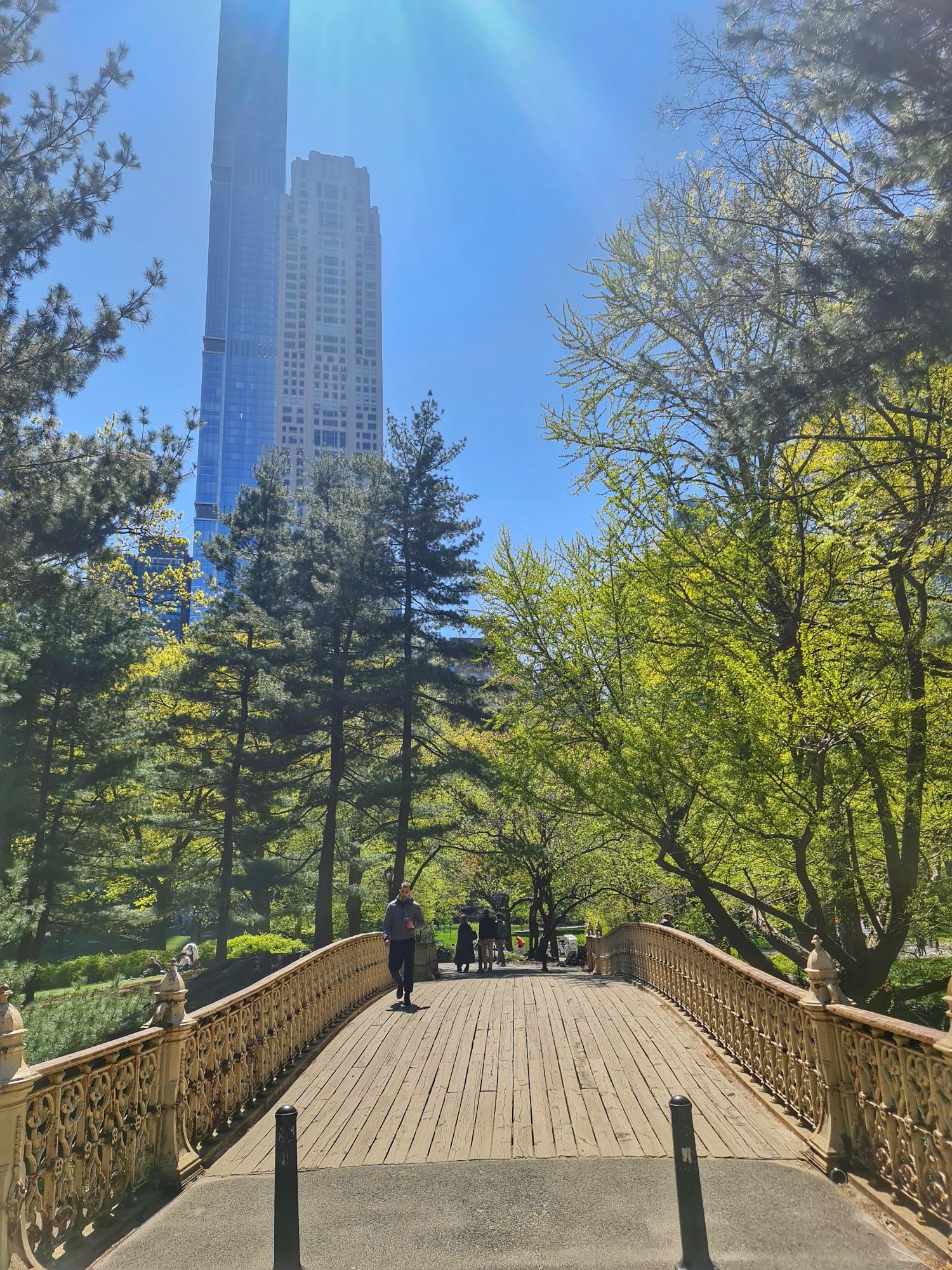 Bridge in Central Park with nice spring weather and green scenery