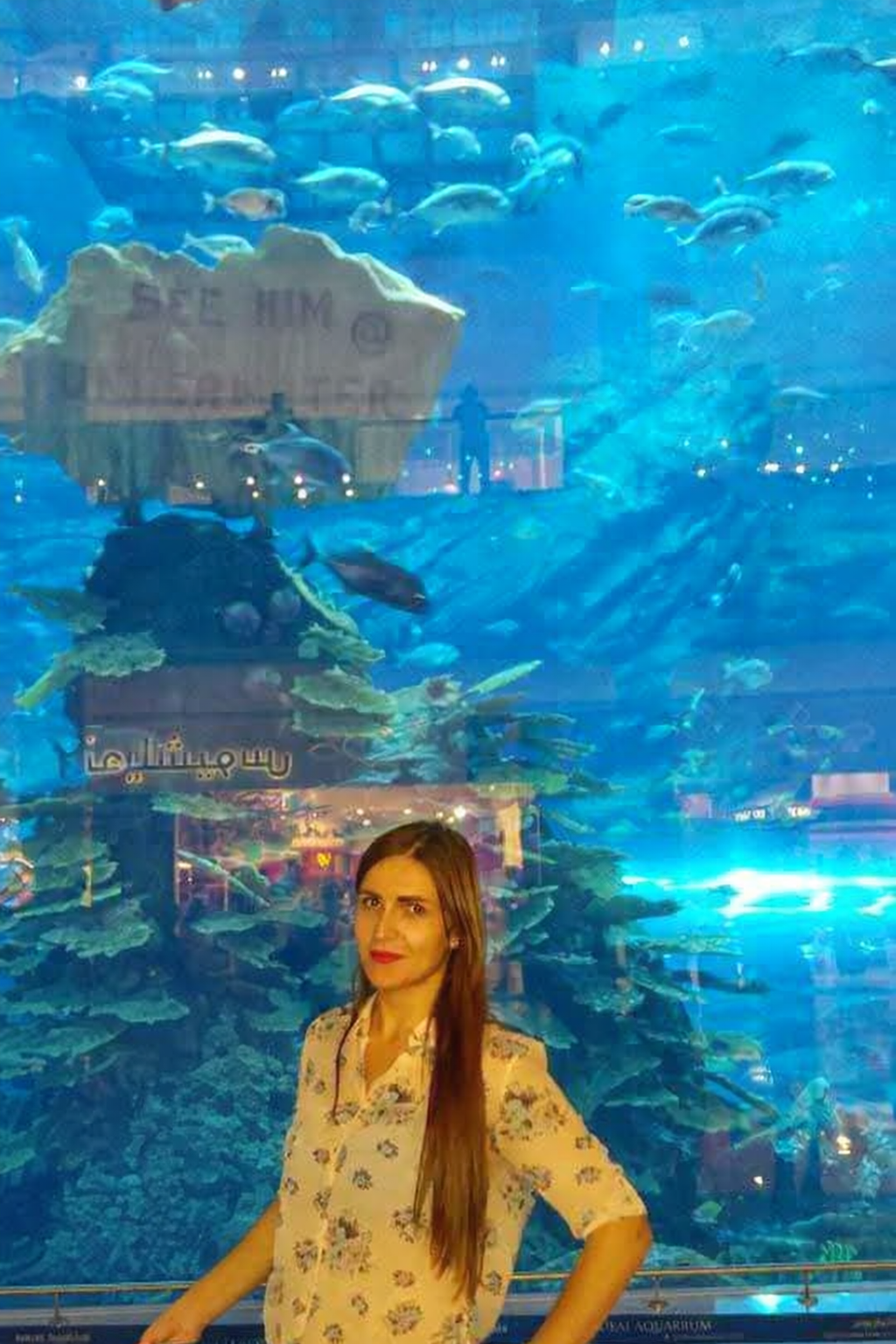 Inside Dubai Aquarium and Underwater Zoo with large aquarium tunnel and marine life